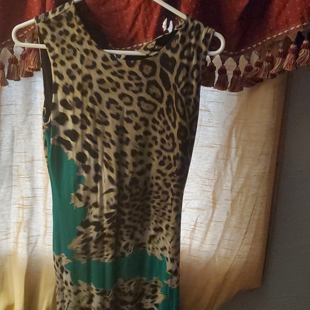 Roberto Cavalli dress 👗😍